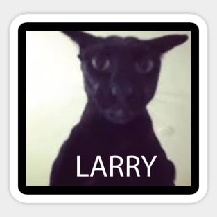 Cat Evil Larry Meme Stickers for Sale | TeePublic